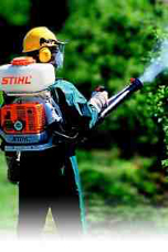 Disinfestazione zanzare atomizzatore