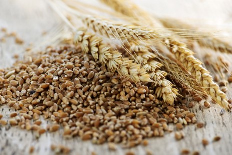 Grano