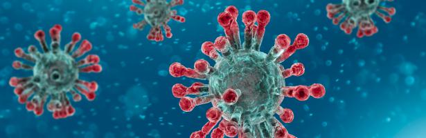 DISINFEZIONE E SANIFICAZIONE