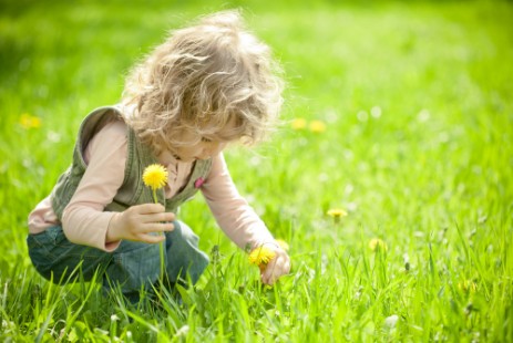 Disinfestazioni ambientali Ambiente